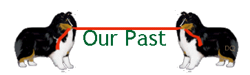 Our Past