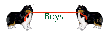 Boys