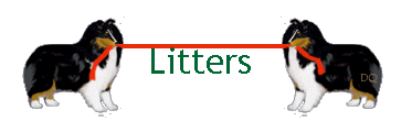 Litters