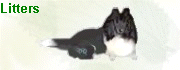 Litters
